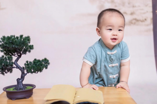 鹤壁可爱的企鹅宝宝
